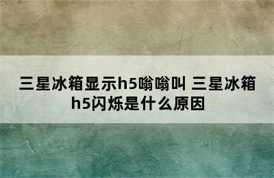 三星冰箱显示h5嗡嗡叫 三星冰箱h5闪烁是什么原因